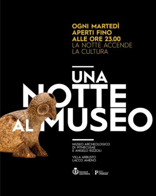 Una notte al Museo di Pithecusae a Ischia